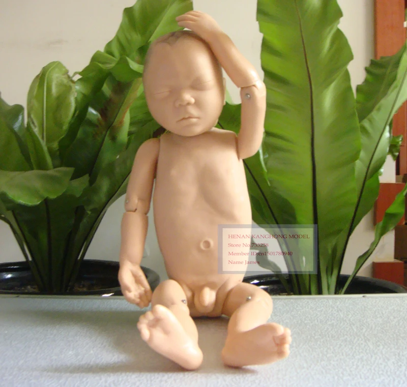 Модель новорожденного, модель ребенка, модель ухода за новорожденным, основная модель эмбриона