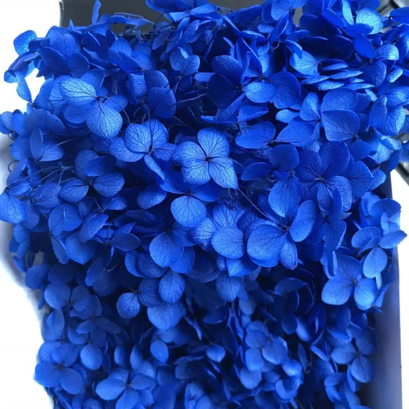 9boxes,Long Time Lasting Natural Fresh Preserved Flowers Dried Hydrangea Flower Head For IY Real Eternal Life Flowers Material - Цвет: 34