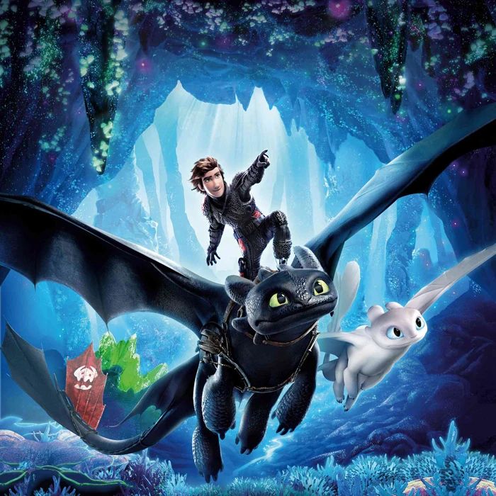 

Diamond Painting Needlework Full square Diamond "How to train your dragon 3" Game Embroidery Cube Decorate Rhinestones Gifts