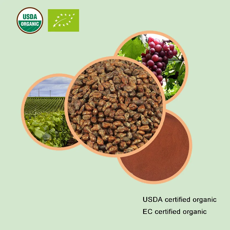 USDA и EC Сертифицированные Органические виноградные косточки 95% OPC 95%|Товары для