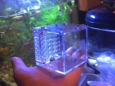 mini-ant-house (6)