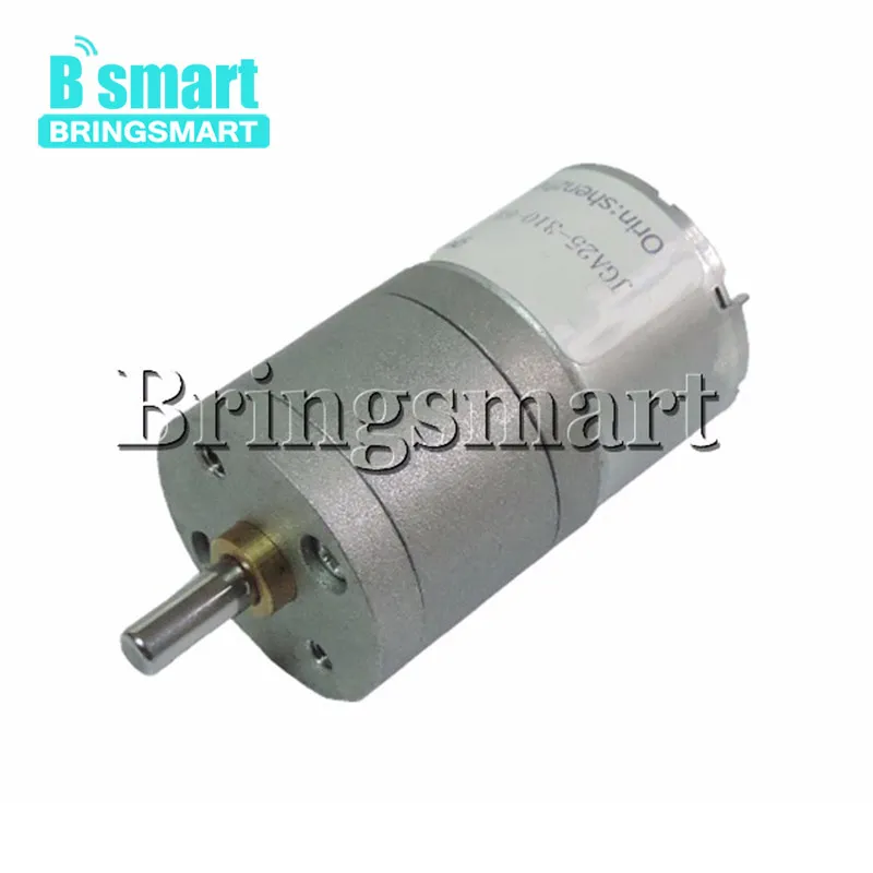 

Bringsmart JGA25-310 DC Motor 12V High Torque Gear Motor 6V Electric Mini Motor Reversed Reduction Gearbox Micro Engine for DIY