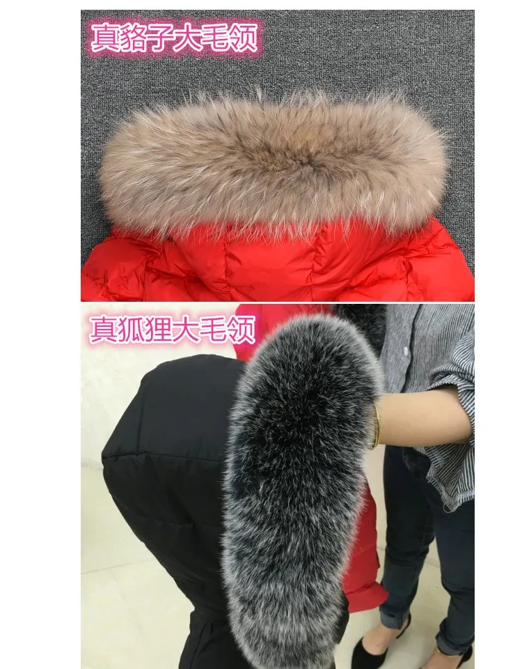 https://cbu01.alicdn.com/img/ibank/2016/902/344/3518443209_585198145.jpg