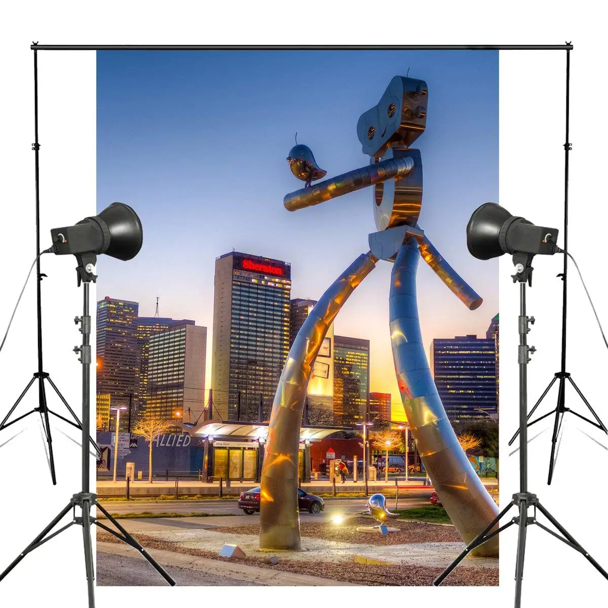 

Robot Bird Photography Background Dallas Downtown Main Streets Backdrop Shoot Backdrop Studio Props Wall 150x220cm