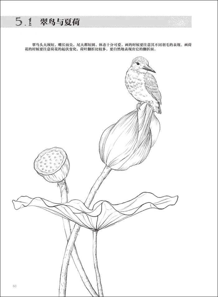 line drawing techniques