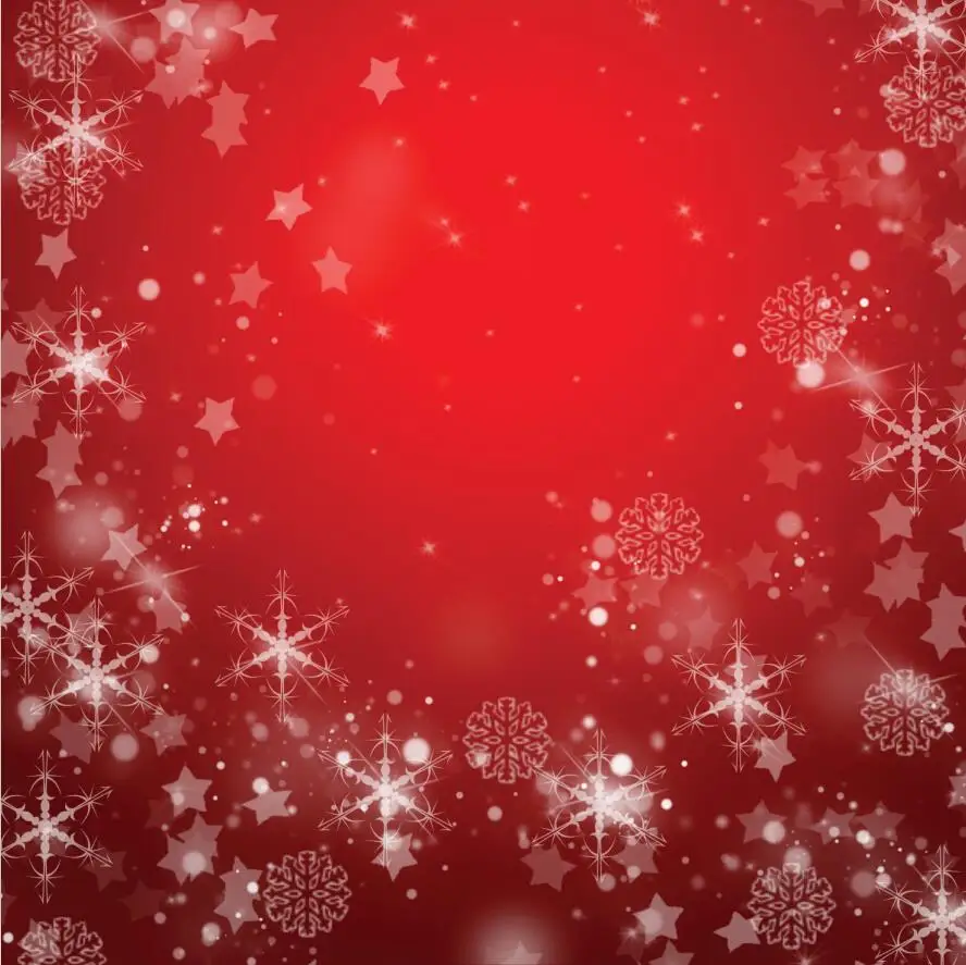 

10x10ft Christmas Backdrops Vinyl Custom Photography Backdrops Prop Photography Background CFB21