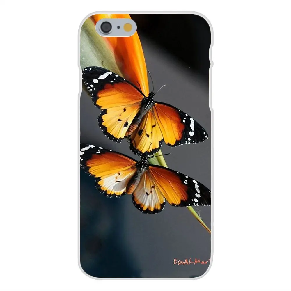 Мягкий чехол для Samsung Galaxy Note 5 8 9 S3 S4 S5 S6 S7 S8 S9 S10 mini Edge Plus Lite Mobile Butterfly Beauty|Бамперы| |