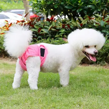 

Puppy Dog Diaper Physiological Pants Pet Girl Dog Underwear Short Pants Pet Accessories J2Y