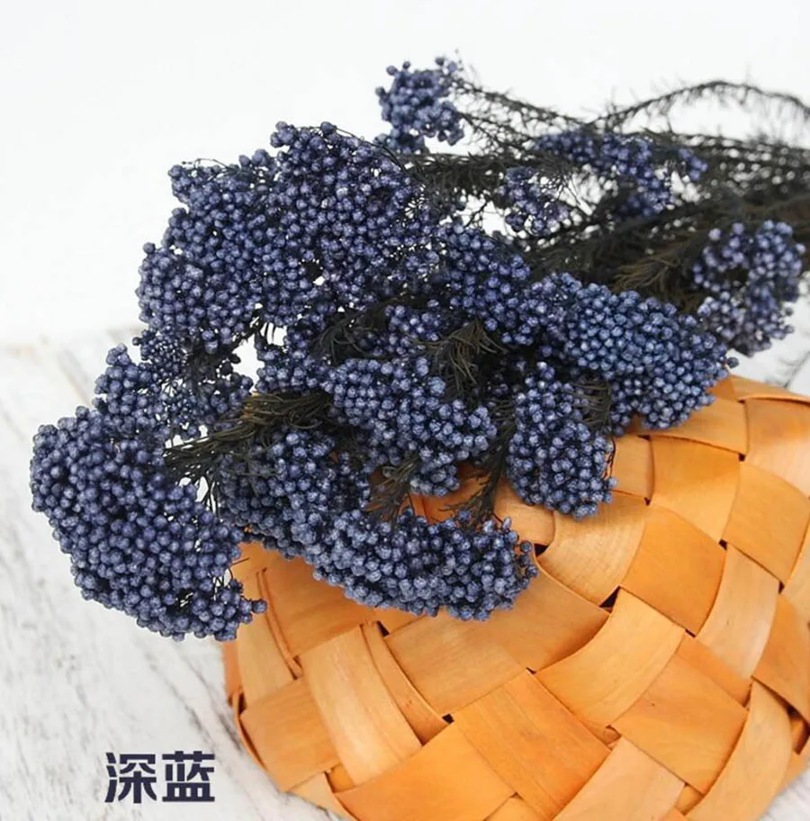 永生米花(爱考拉电子)-深蓝