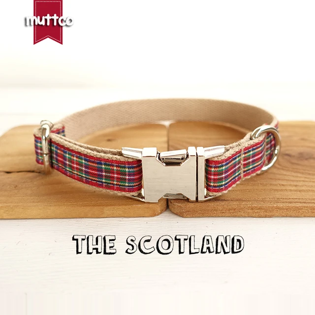 Scotland 2024 dog collar