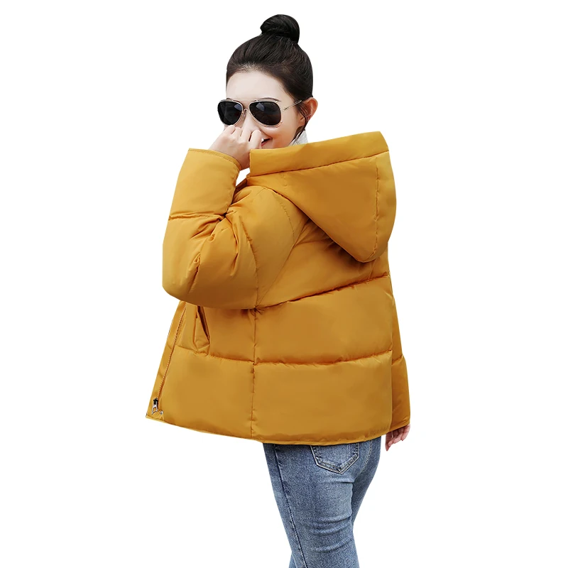 

2019 new Winter Jacket Women Hooded Parka Thick Cotton Padded Lining Female