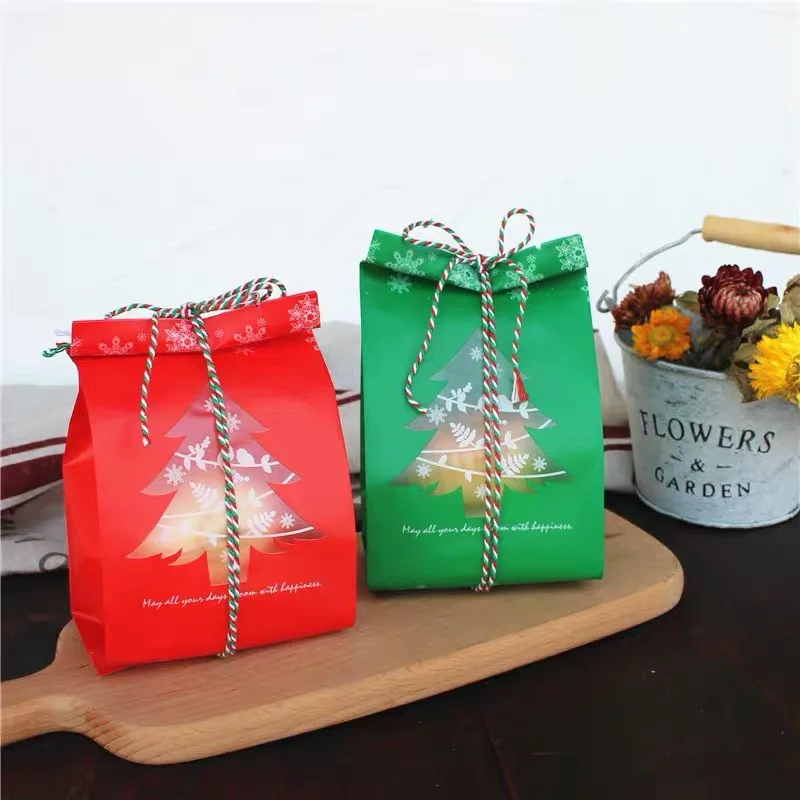 plastic bag (1)