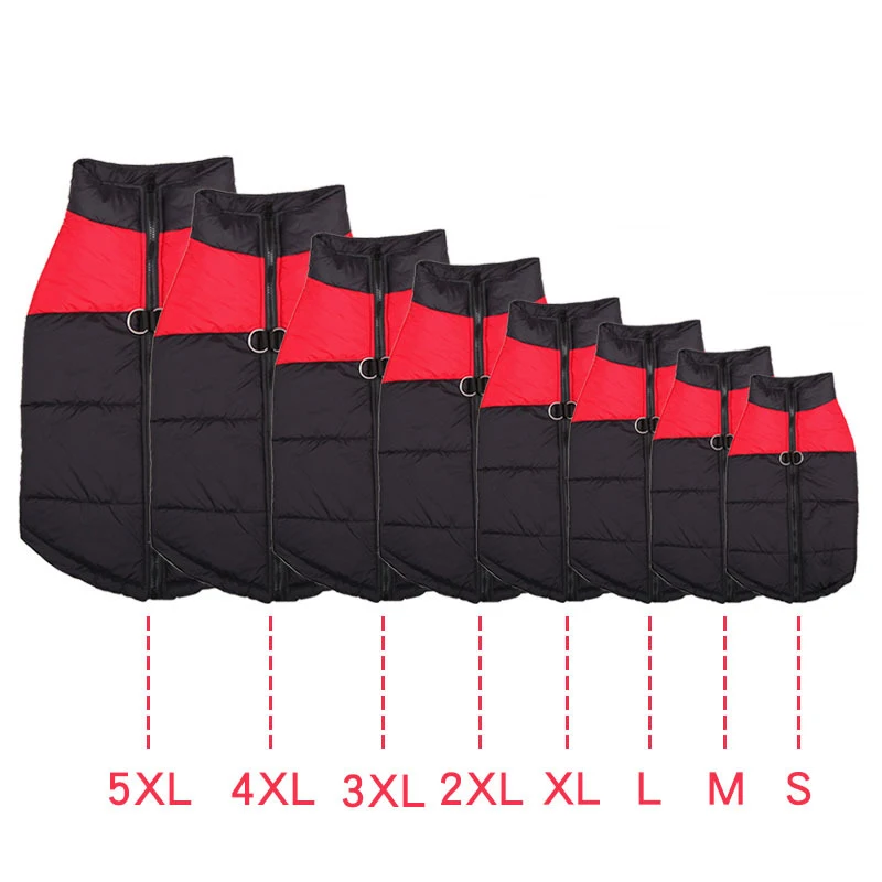 9017478088_609020808
