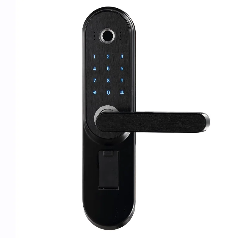 LACHCO биометрический электронный дверной замок смарт, код, ключ сенсорный экран цифровой пароль отпечатков пальцев замок для домашнего офиса A18013FB - Цвет: semiconductor Black