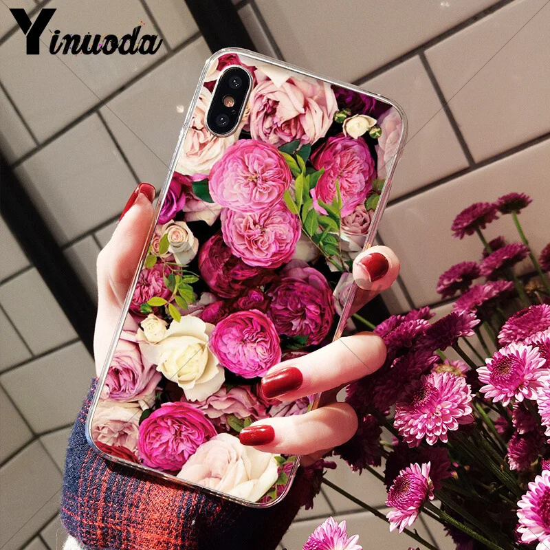 Flower Pink Peonies Peony