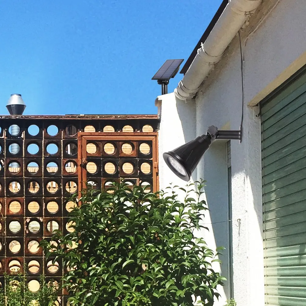 71Pp-o+lo9L._SL1000_