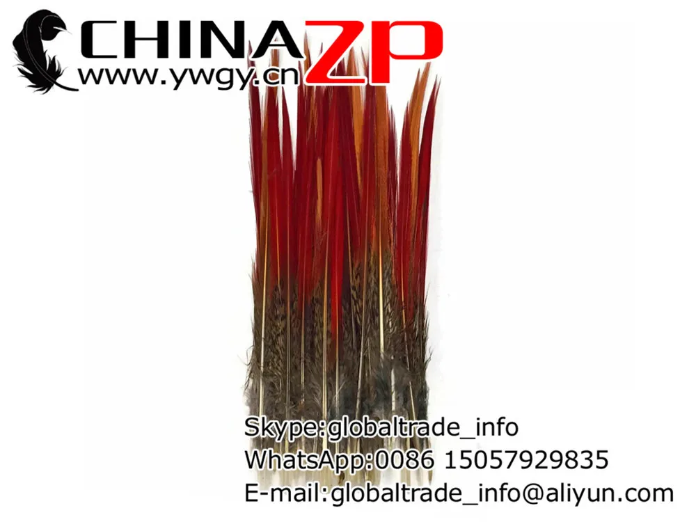lot 20 plumes faisan doré rouge