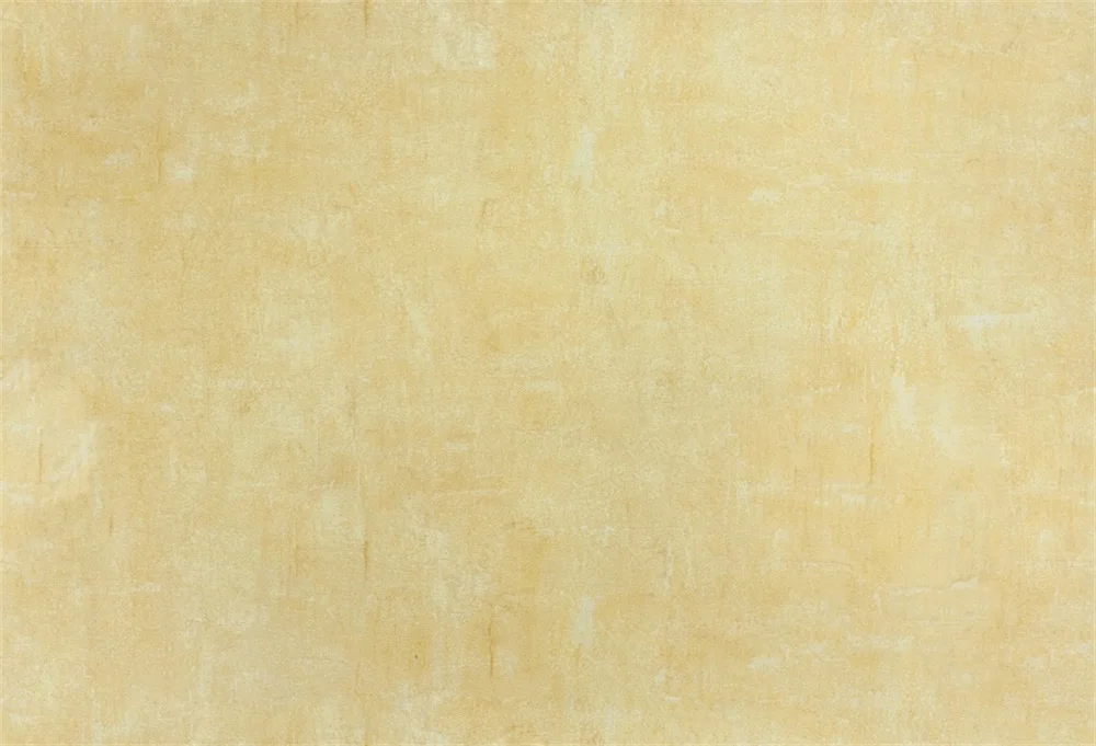 Laeacco Gradient Solid Color Texture Portrait Photography