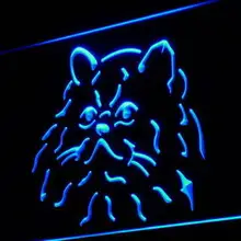 I991 Гималайская Кошка Китти Pet Shop любовник свет вход на/выключения 20+ Цвета 5 размеров