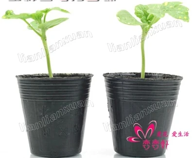 Free Shipping 8 8cm 200pcs Lot Nursery Pot Plastic Nutrition Cup Free Shipping 8 8cm 200pcs Lot Nursery Pot Plastic Nutrition Cup Box Pots Garden Supplies Black In From Home
