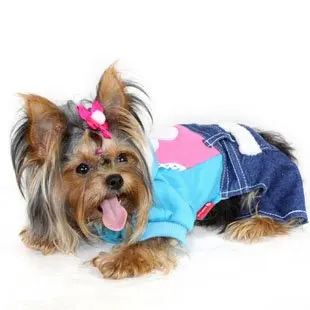 Image result for dogs wearing clothes