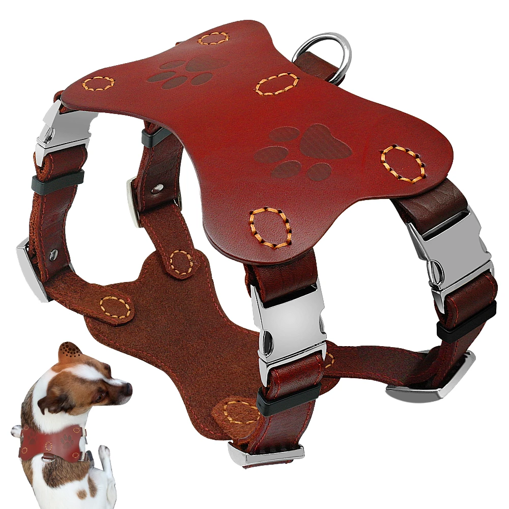 leather step in dog harness