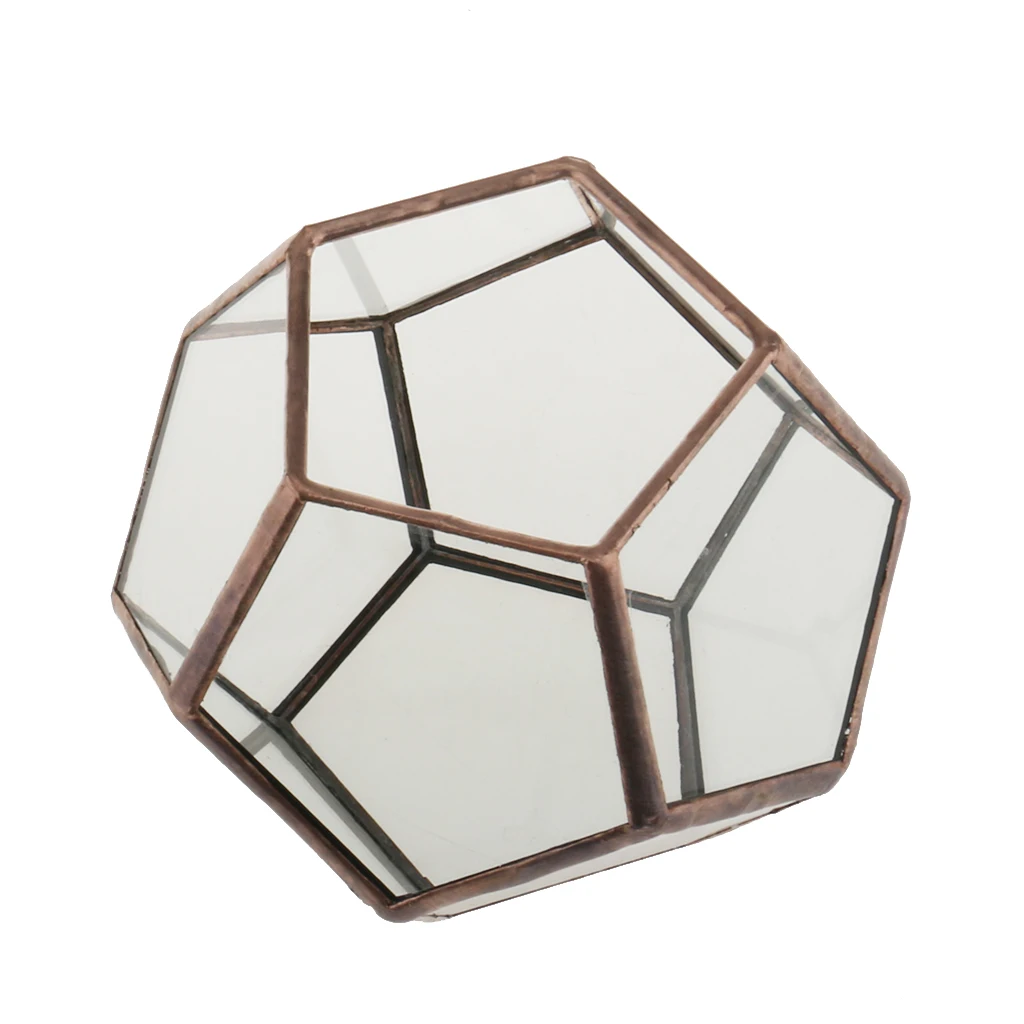 2 Pieces Different Kinds of Modern Glass Geometric Terrarium Box Tabletop Succulent Plant Planter