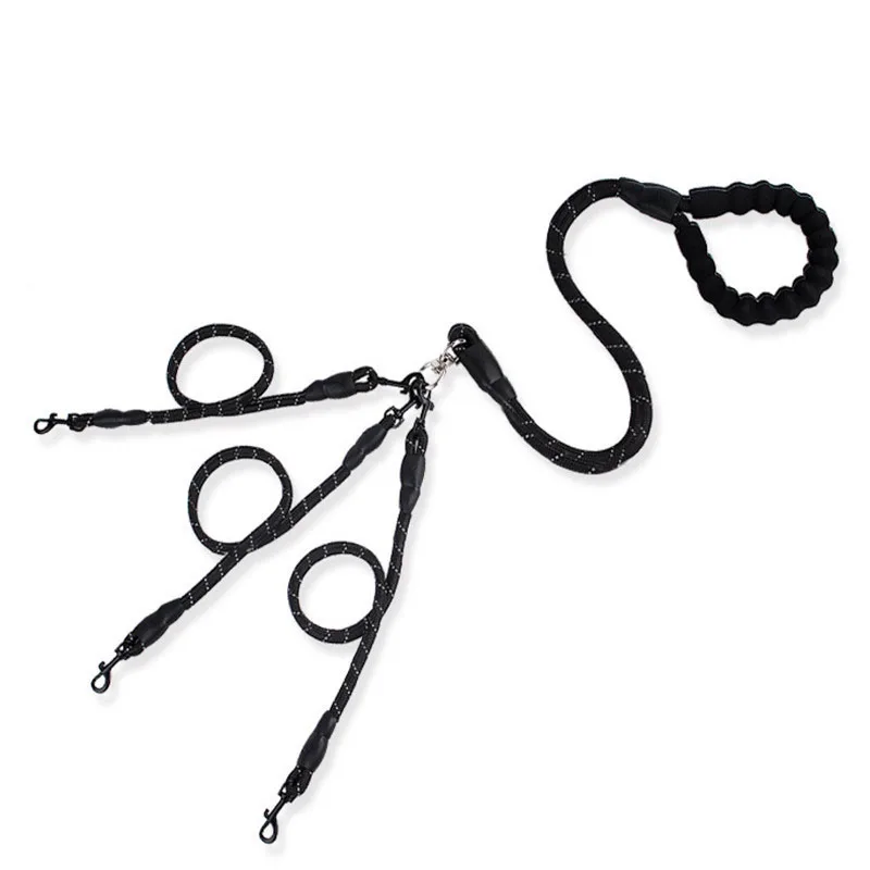 double dog leash (1)