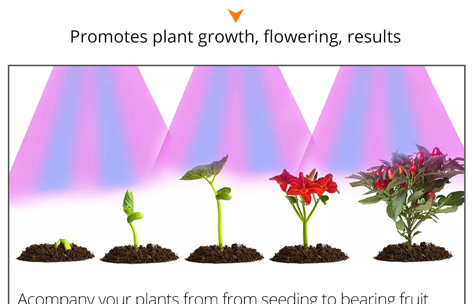 grow led cob chip (6)