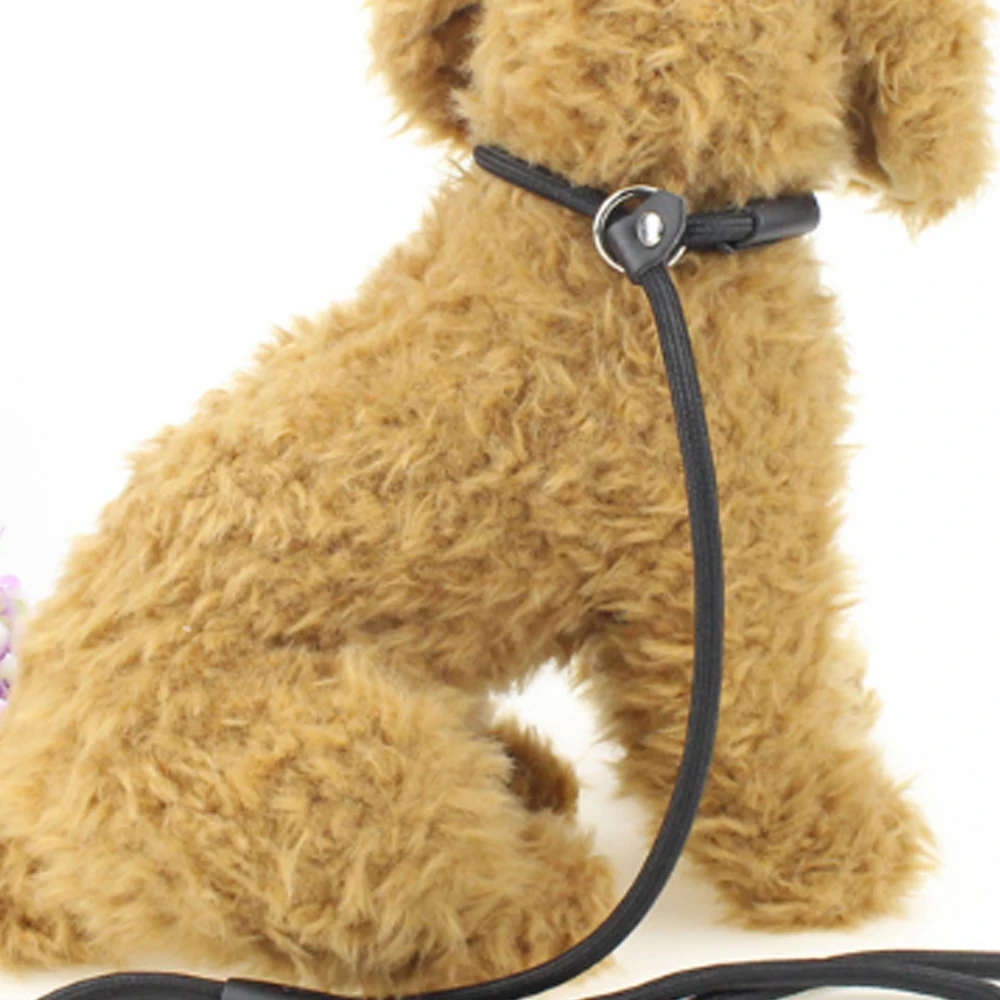 Professional Game Pet Leash Collars Harnesses Leads Pulling Ropein