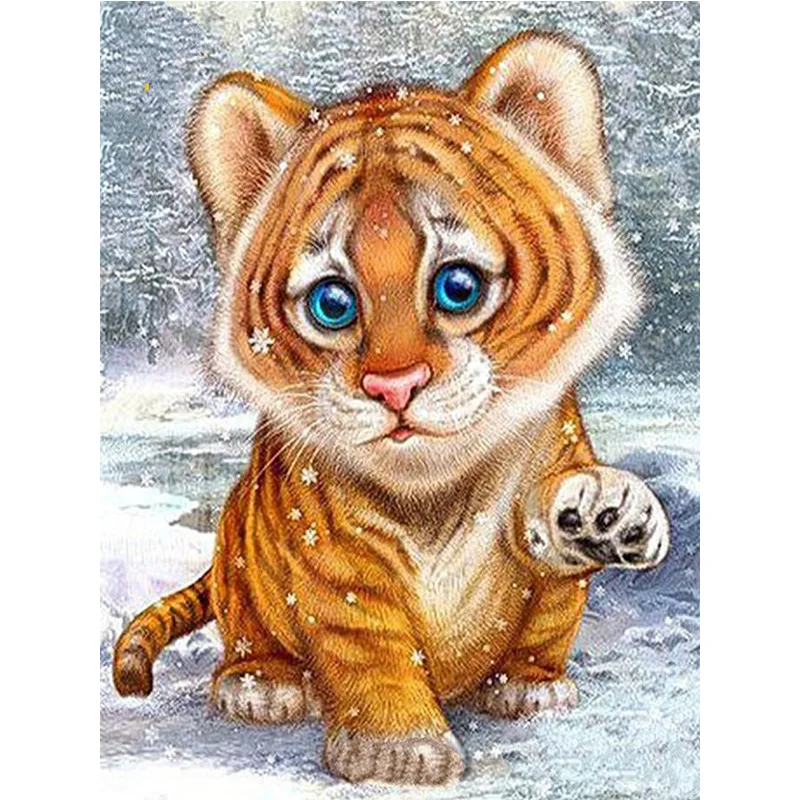 7639067901_1352883597