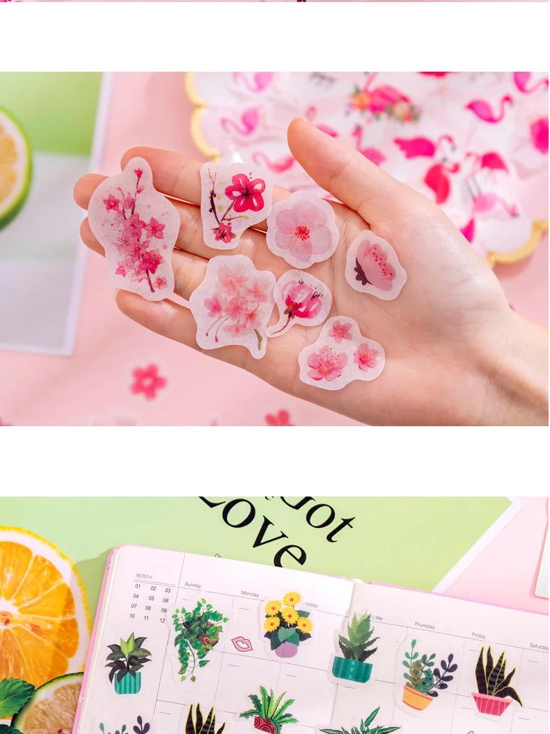 40 pcs/pack Green Plant Series Cactus Canteen Decorative Stationery Stickers Scrapbooking DIY Diary Album Stick Lable