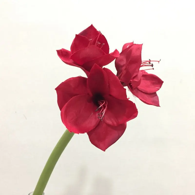 6Pcs 51Cm Hall Dell'Hotel Decorata Simulazione Belladonna Lily Kaffir Lily All'Ingrosso Arredamento Per La Casa Decorazione Fiore Artificiale