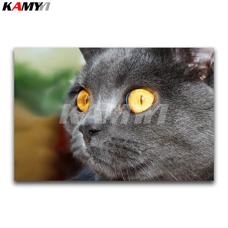 

Full Round Diamond painting animal Full Square Diamond embroidery Cross stitch heads DIY 3D Diamond mosaic gray Cat