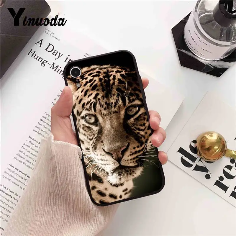 Russian version wolf tiger lion Leopard bear animal