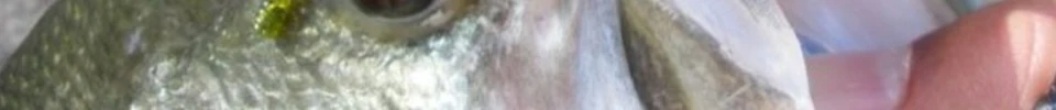 ENG_09