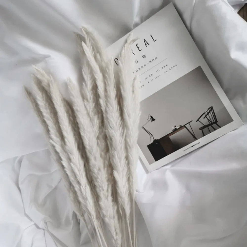 

20 Pcs Soft Home Furnishing Living Room Shooting Props Pampas Reed Flowers