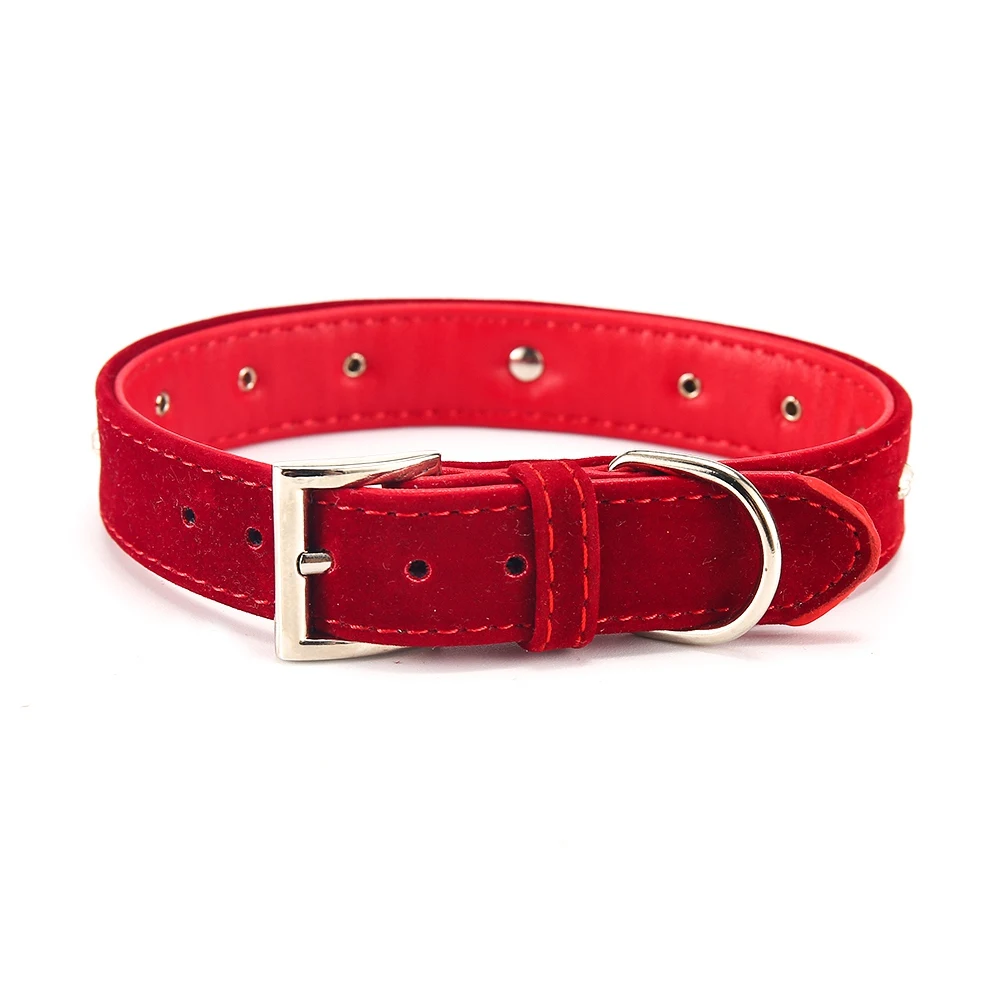 Pet Products Dog Collar For Dogs Small Cat Dog Collar Lead Harness Leash Puppy Solid  Cats Collars Chihuahua Supplies Accessories PQ013 (8)