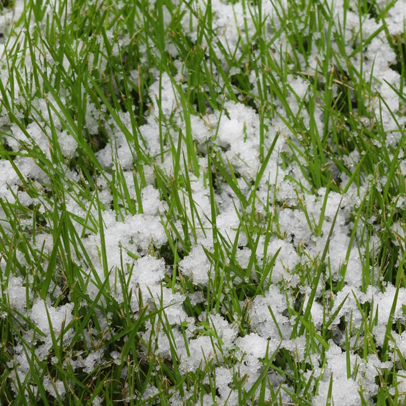 Artificial Snow Instant Snow Powder Fluffy Snowflake Super Absorbant Frozen Party Magic Prop Christmas Party Decor