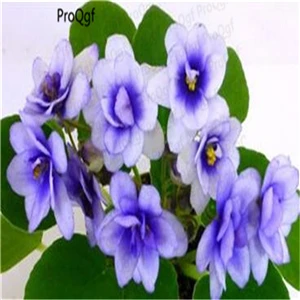 ProQgf 1Pcs A Set Bathroom Life Means Interesting Stool shenlvse