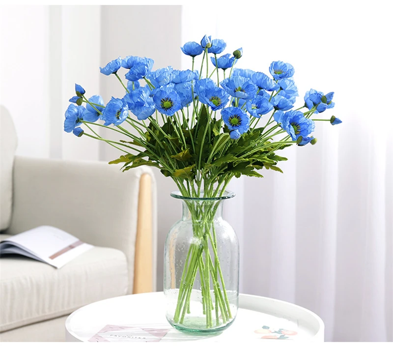 10487835365_1554594402