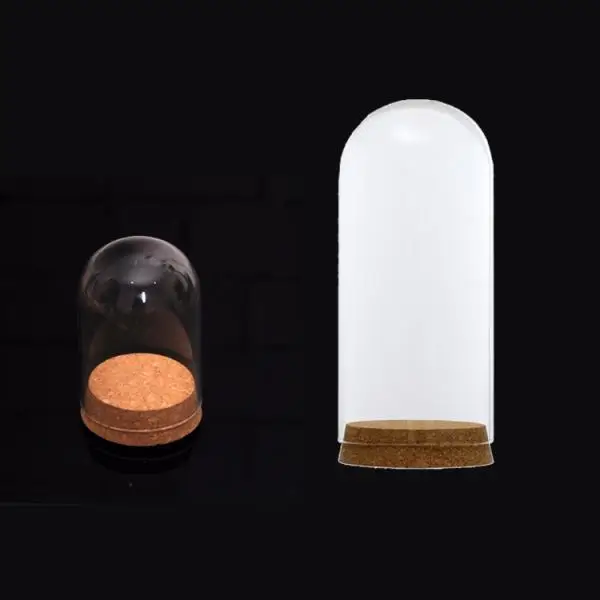 2pcs Clear Glass Dome Cover Cloche Bell Jar Succulent Terrariums w/Wooden Cork Base for Home Study Room Decor DIY Craft Supplies