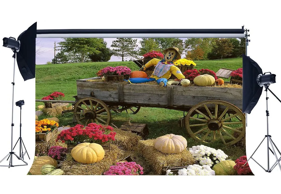 

Autumn Harvest Backdrop Pumpkin Scarecrow Straw Haystack Vintage Farm Car Fresh Flowers Jungle Background