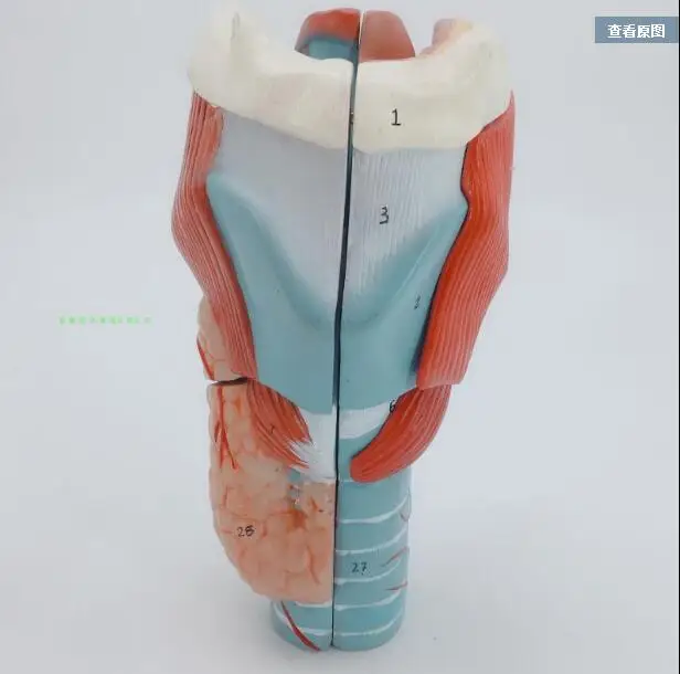 QQ20180619223138
