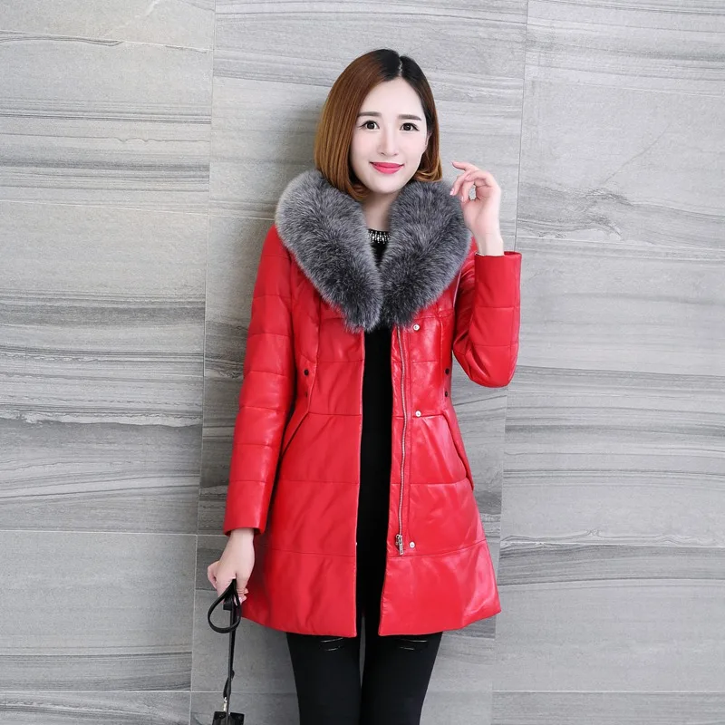 LF4260 (9)