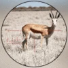 Tactical Svd Dragunov 4x26 Red Illuminated Scope Hunting Rifle Scope Shooting Scope Red Dot Hunting Optics Hunting Laser ► Photo 2/6