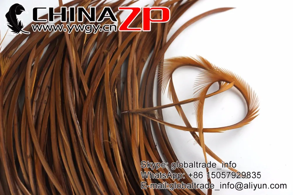 Оптом От chinazp Feathers 200 шт./лот Размер 20 25 см выбранный качественный окрашенный
