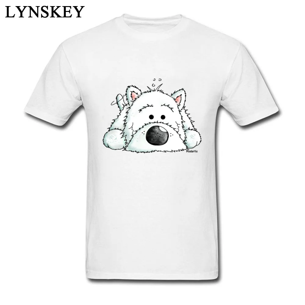 West Highland White Terrier - Dog_white