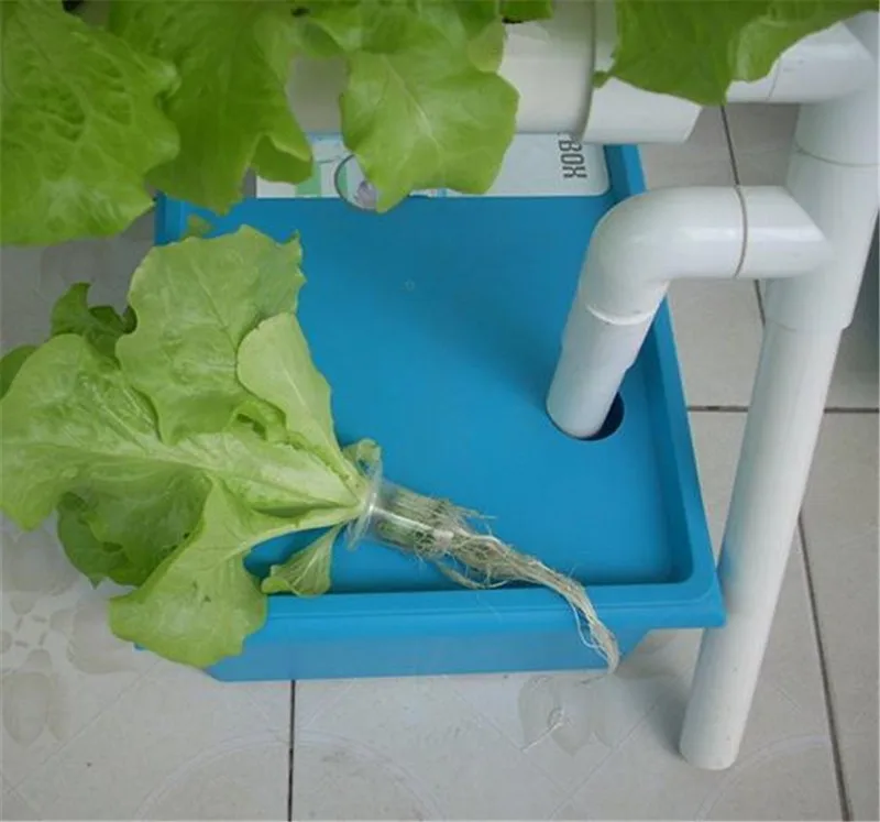 Двусторонняя лестница резервуар гидропоники овощи машина питательный раствор бак 10 литров бак для хранения крышкой