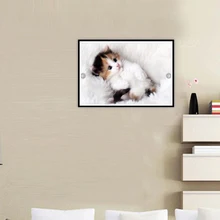 Кошка картина цветная Алмазная картина мультфильм аниме котенок паста гостиная спальня Вышивка крестом коллекция домашний декор